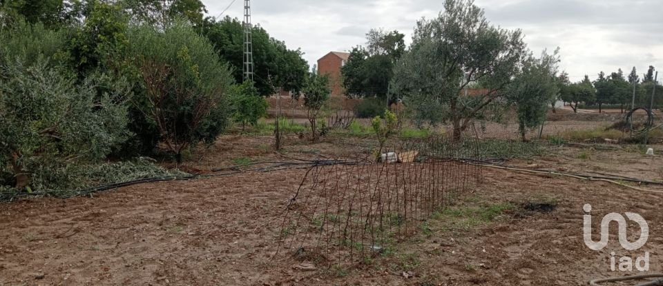 Terrain de 1 497 m² à Cañada Rosal (41439)