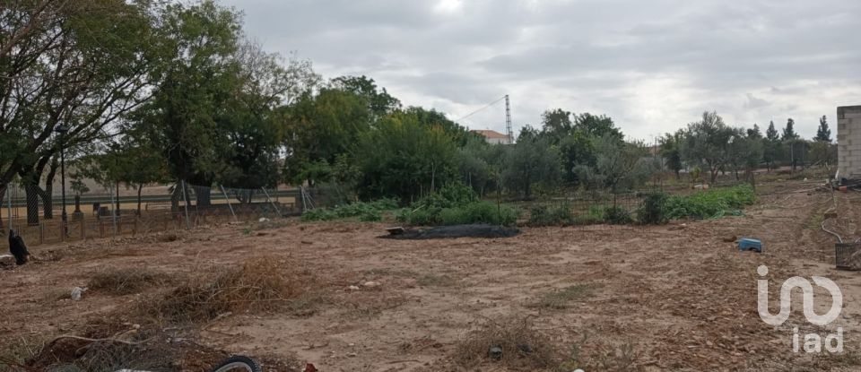 Terreno de 1.497 m² en Cañada Rosal (41439)