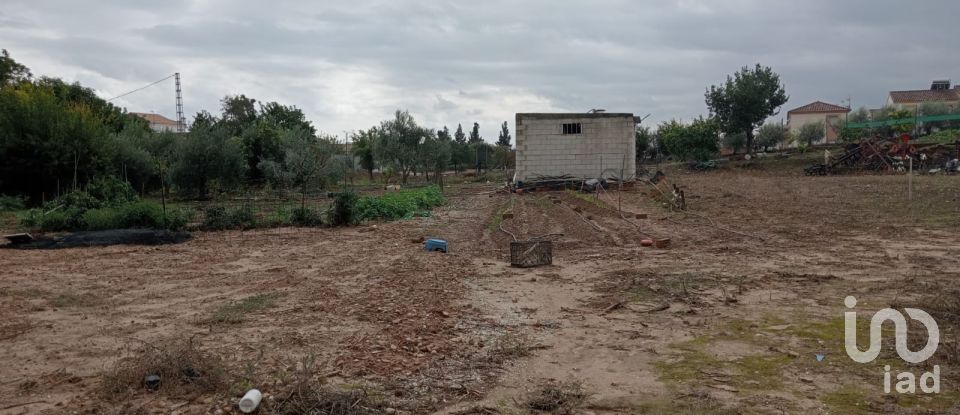 Terreno de 1.497 m² en Cañada Rosal (41439)