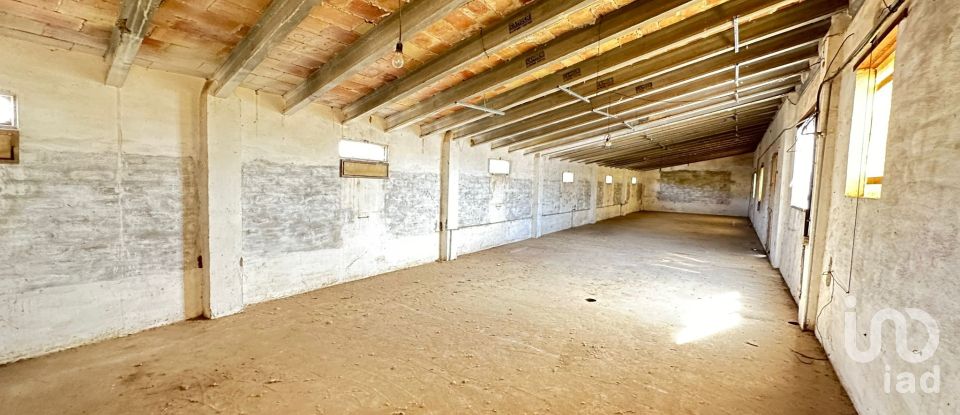 Gîte 6 chambres de 482 m² à Tortosa (43500)