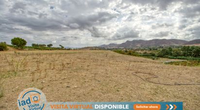 Terreno de 14.637 m² en Ampliacion Cartama (29570)