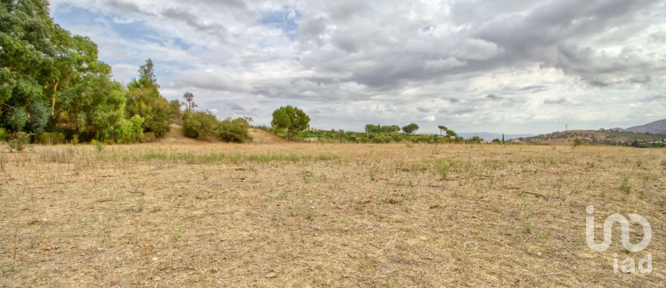 Terreno de 14.637 m² en Ampliacion Cartama (29570)