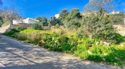 Terrain de 800 m² à Dénia (03700)