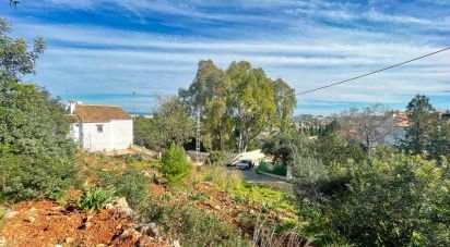 Terreno de 800 m² en Dénia (03700)