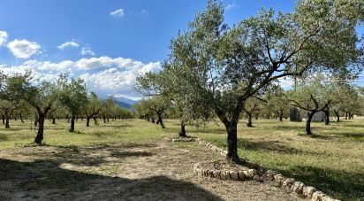 Terreno de 79.000 m² en Inca (07300)