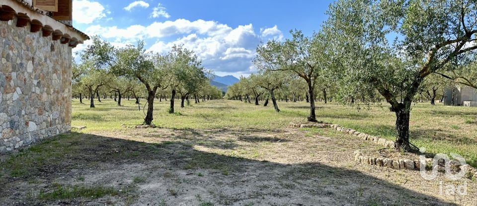 Terreno de 79.000 m² en Inca (07300)