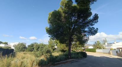 Land of 745 m² in L'Ametlla de Mar (43860)