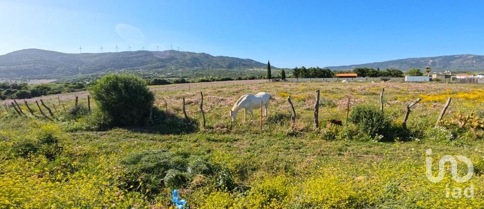 Terra de 1.250 m² a Tarifa (11380)