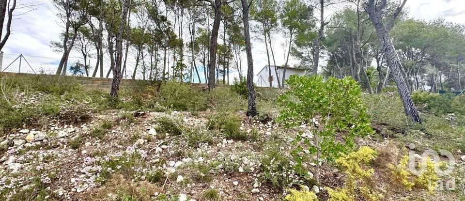 Land of 1,101 m² in Olivella (08818)