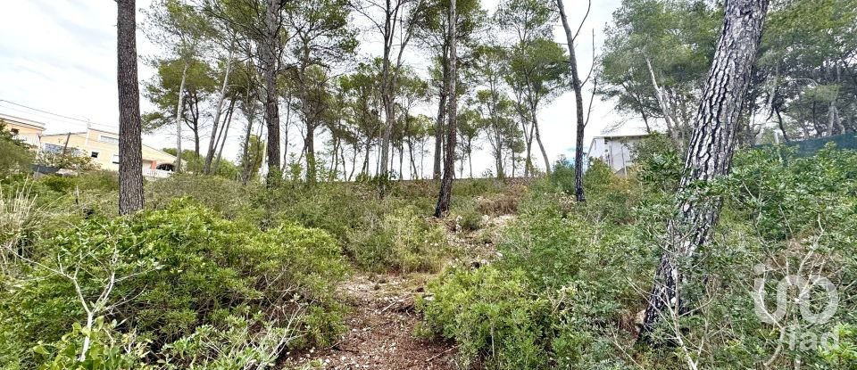 Land of 1,101 m² in Olivella (08818)