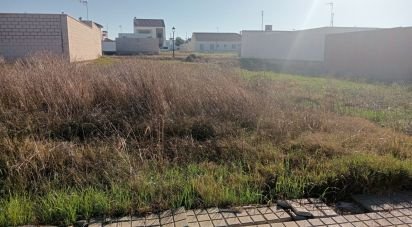 Terreno de 180 m² en Cañada Rosal (41439)