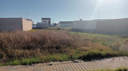 Terra de 180 m² a Cañada Rosal (41439)