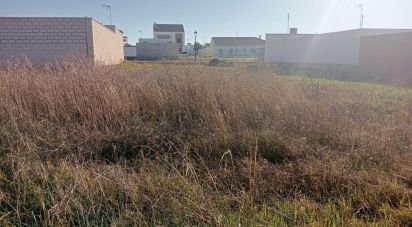 Terreno de 180 m² en Cañada Rosal (41439)