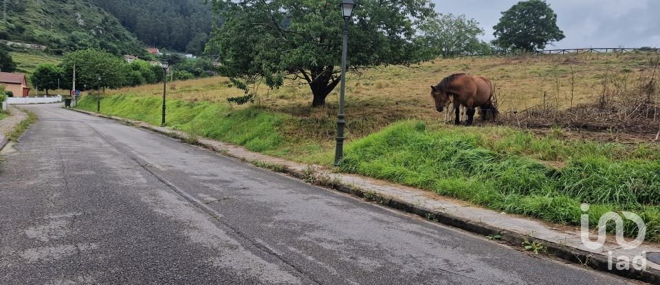 Terreno de 1.005 m² en San Roman de Candamo (33828)