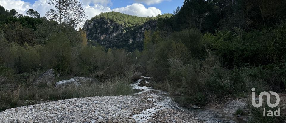 Terrain de 3 000 m² à El Pinetell (43459)