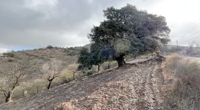 Terreno de 7.876 m² en Casabermeja (29160)