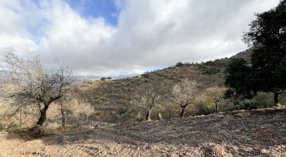 Terreno de 7.876 m² en Casabermeja (29160)