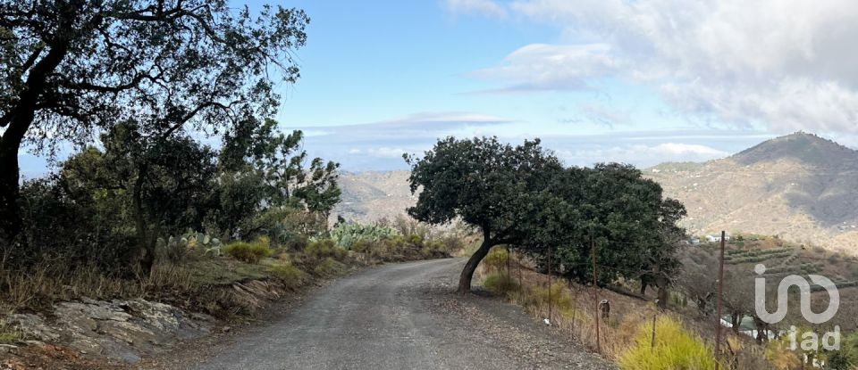 Terrain de 7 876 m² à Casabermeja (29160)