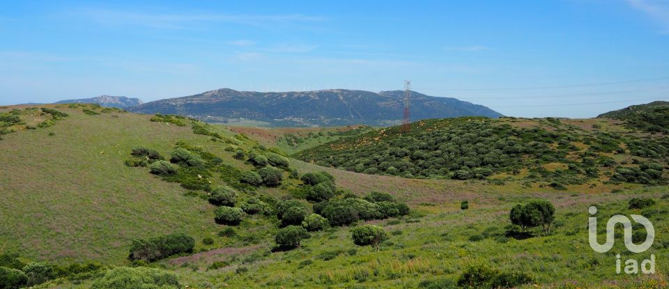 Terrain de 102 600 m² à Tarifa (11380)