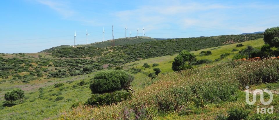 Terrain de 102 600 m² à Tarifa (11380)