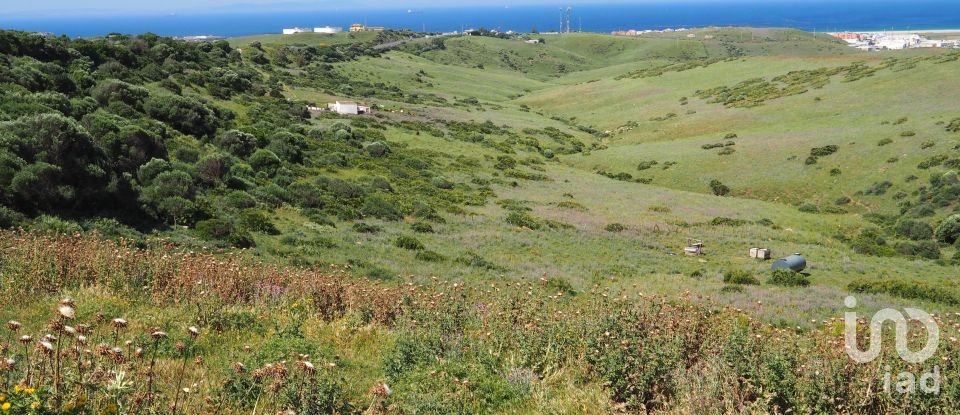 Terrain de 102 600 m² à Tarifa (11380)