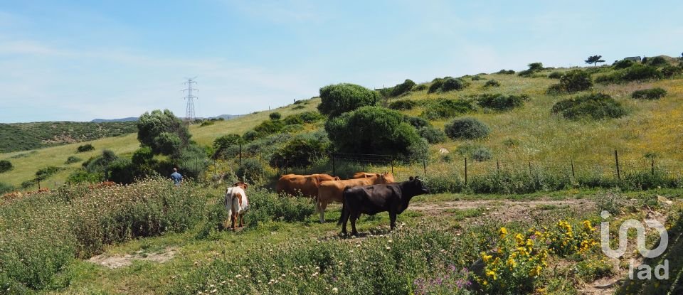 Terrain de 102 600 m² à Tarifa (11380)