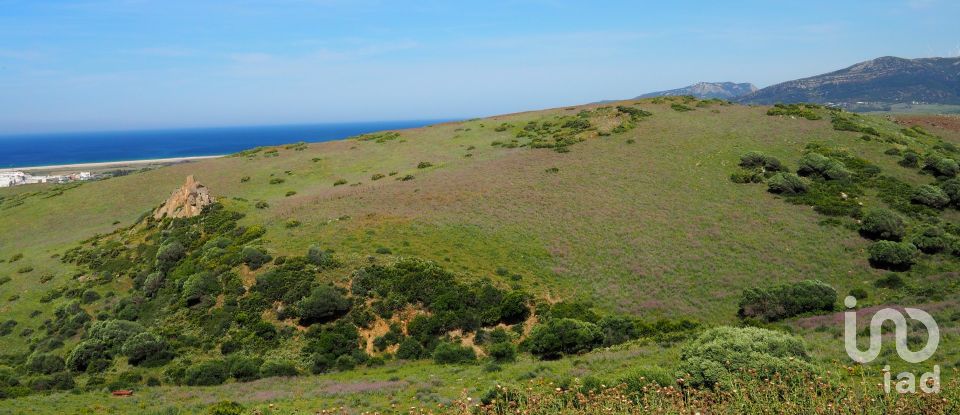 Terrain de 102 600 m² à Tarifa (11380)