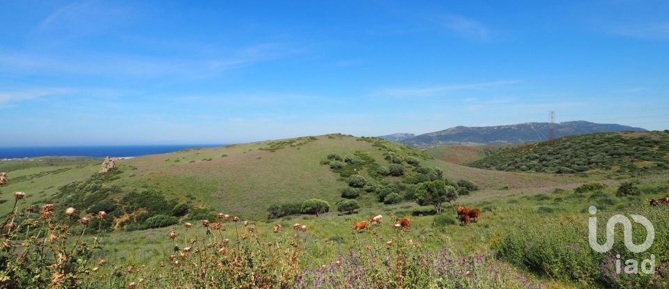 Terrain de 102 600 m² à Tarifa (11380)