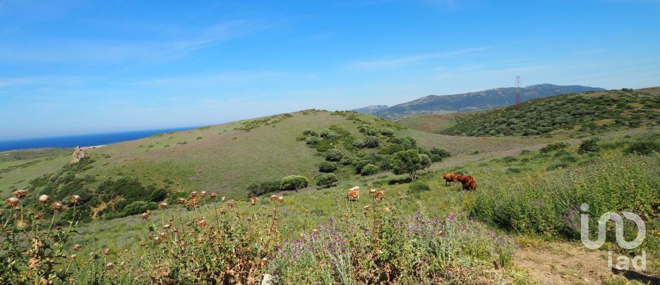 Terrain de 102 600 m² à Tarifa (11380)