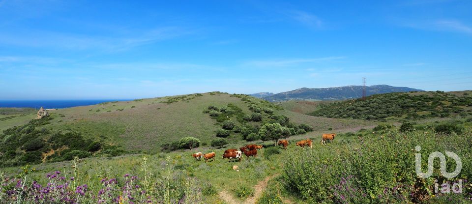 Terrain de 102 600 m² à Tarifa (11380)