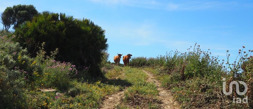 Terrain de 102 600 m² à Tarifa (11380)