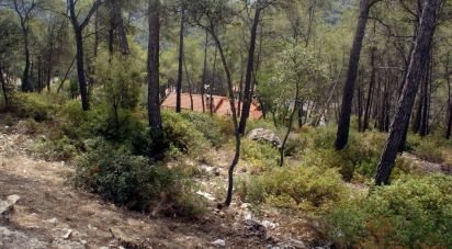 Terreno de 776 m² en Olivella (08818)