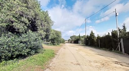 Land of 952 m² in Castellvell del Camp (43392)