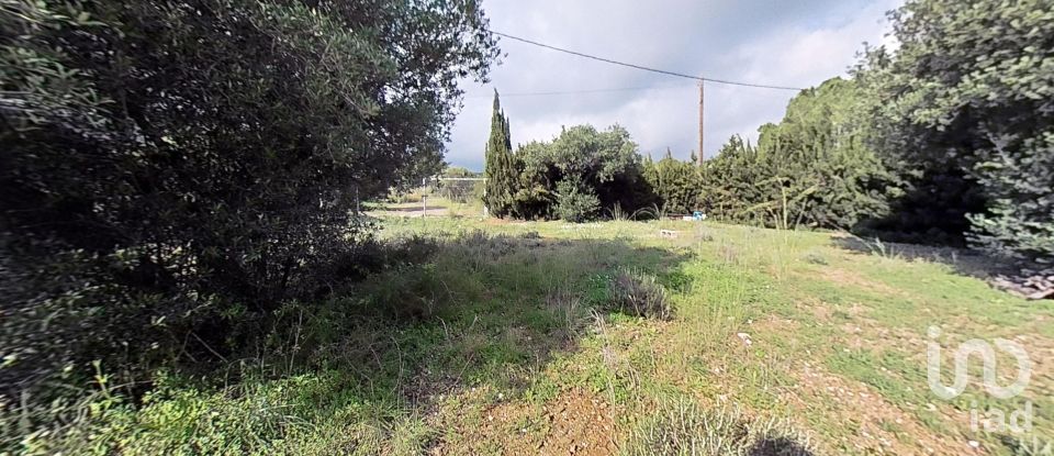 Land of 952 m² in Castellvell del Camp (43392)