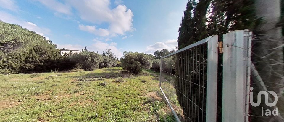 Land of 952 m² in Castellvell del Camp (43392)