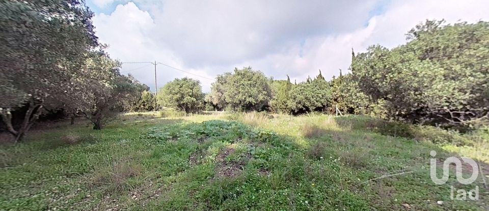 Land of 952 m² in Castellvell del Camp (43392)