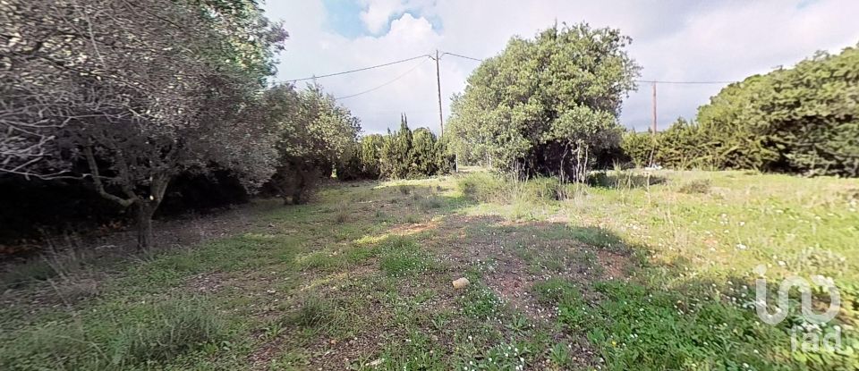 Land of 952 m² in Castellvell del Camp (43392)