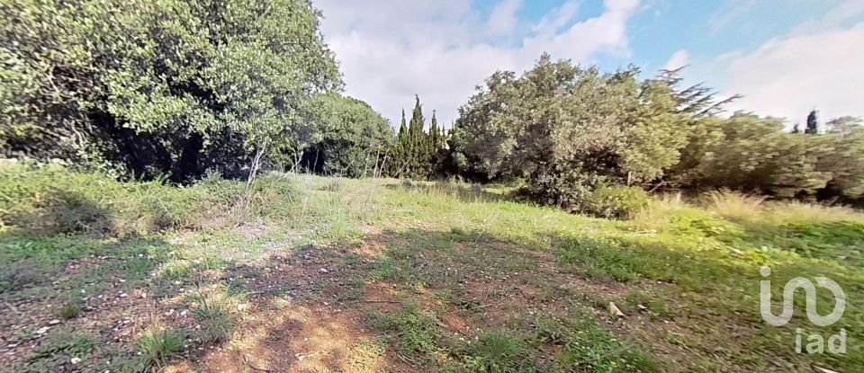 Land of 952 m² in Castellvell del Camp (43392)