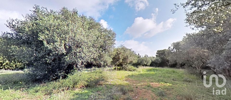 Land of 952 m² in Castellvell del Camp (43392)