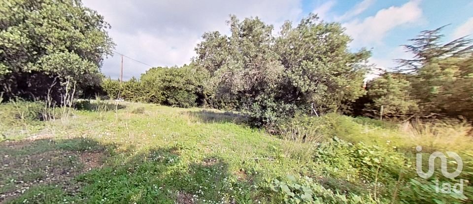 Land of 952 m² in Castellvell del Camp (43392)