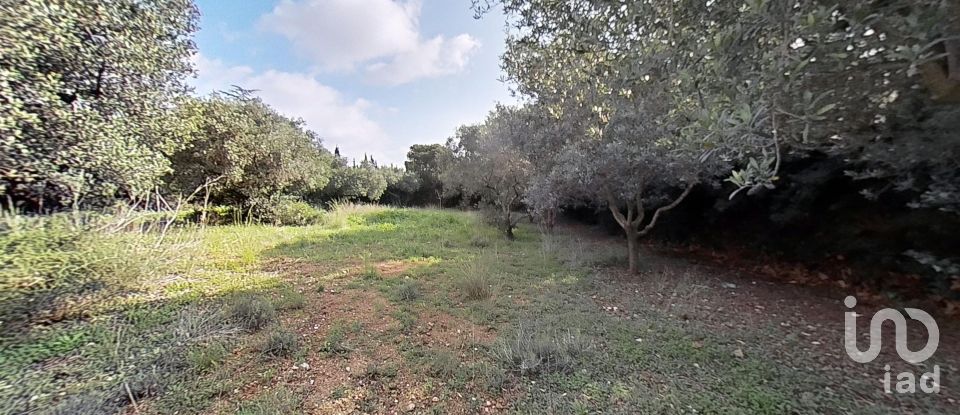 Land of 952 m² in Castellvell del Camp (43392)