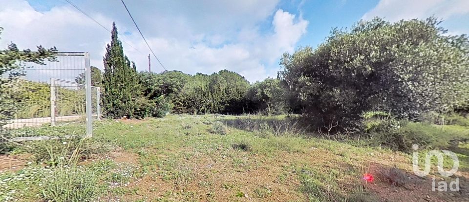 Land of 952 m² in Castellvell del Camp (43392)