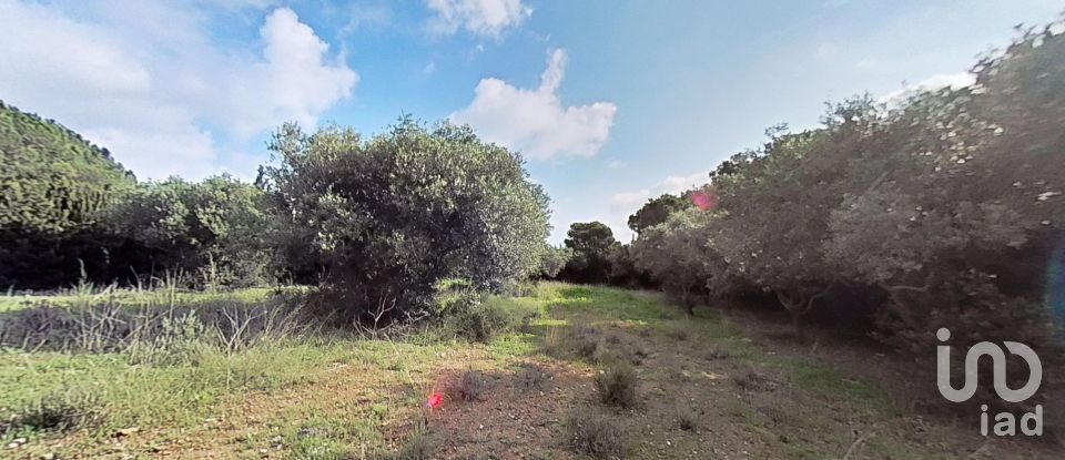 Land of 952 m² in Castellvell del Camp (43392)