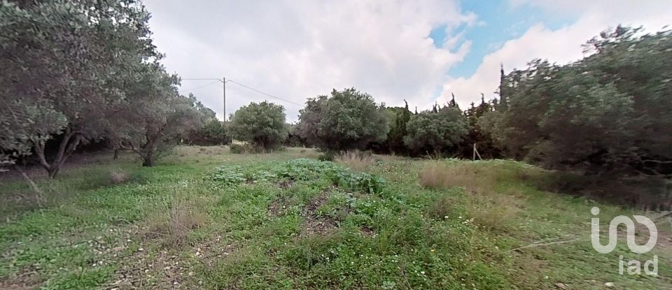 Land of 952 m² in Castellvell del Camp (43392)