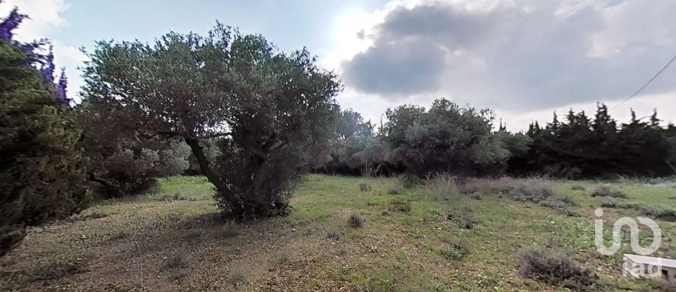 Land of 952 m² in Castellvell del Camp (43392)