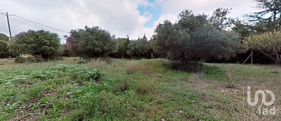 Land of 952 m² in Castellvell del Camp (43392)