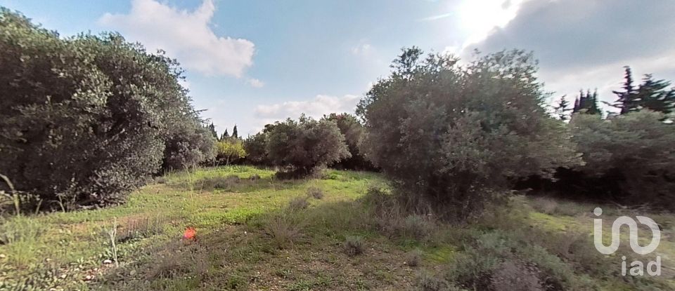 Land of 952 m² in Castellvell del Camp (43392)