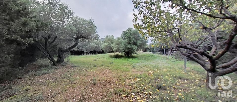 Land of 952 m² in Castellvell del Camp (43392)