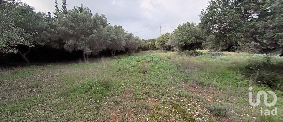 Land of 952 m² in Castellvell del Camp (43392)