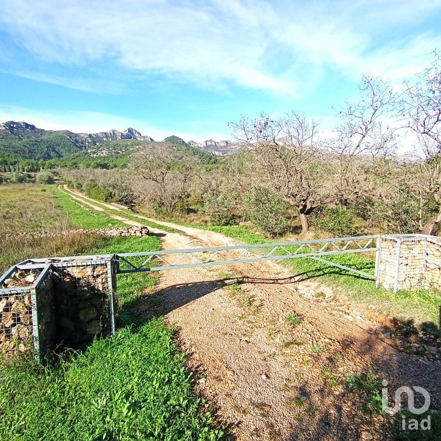 Land of 18,582 m² in Coll de l'Alba (43517)